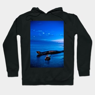 Ashbridges Bay Toronto Canada Sunrise No 2 Hoodie